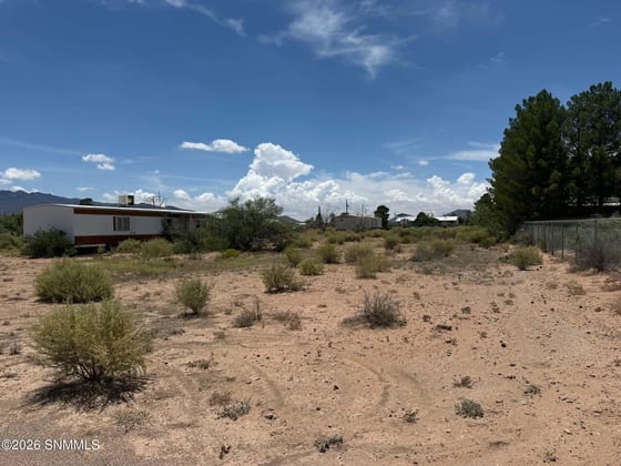 591 Quiet Pine Drive, Chaparral, NM 88081 photo 5