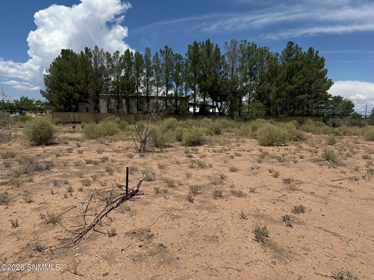591 Quiet Pine Drive, Chaparral, NM 88081 photo 6