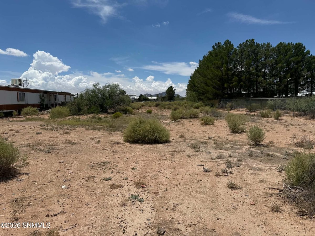 591 Quiet Pine Drive, Chaparral, NM 88081 photo 8