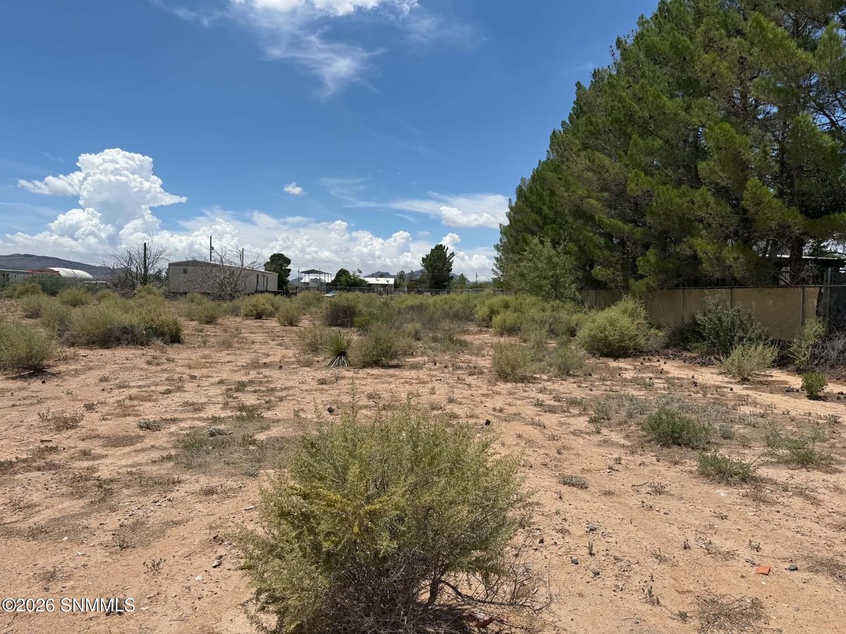 591 Quiet Pine Drive, Chaparral, NM 88081 photo 9
