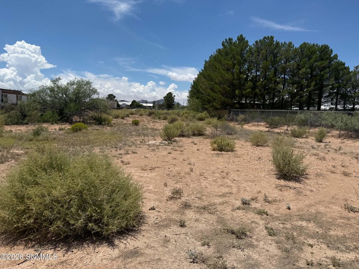 591 Quiet Pine Drive, Chaparral, NM 88081 photo 10