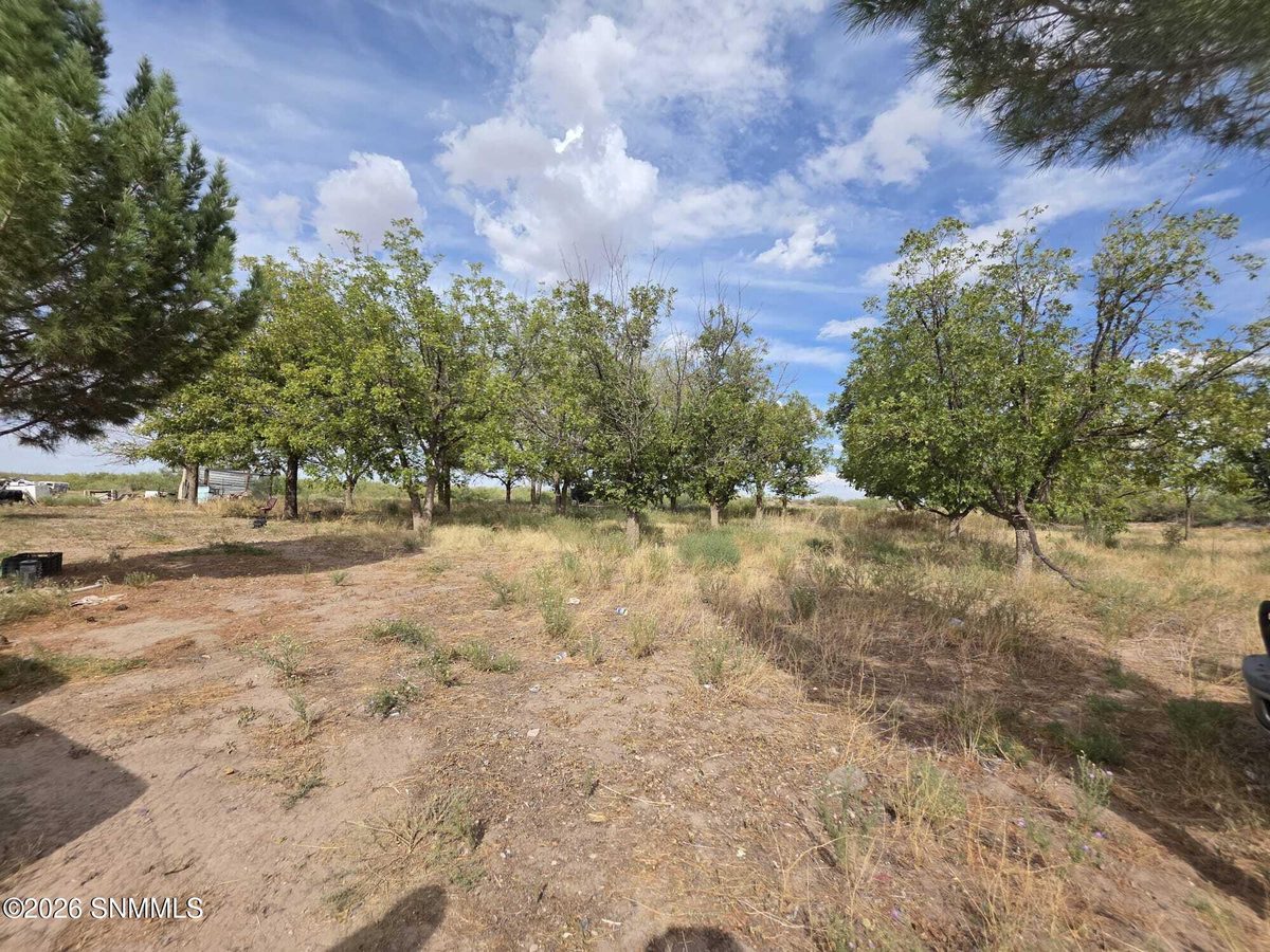 9425 New Mexico 377, Deming, NM 88030 photo 8