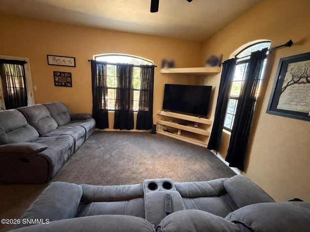 4301 Capistrano Avenue, Las Cruces, NM 88011 photo 5