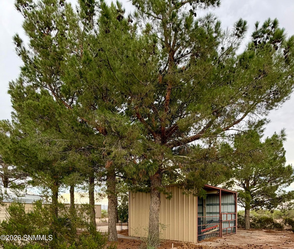 2 Arapaho Road, Vado, NM 88072 photo 13