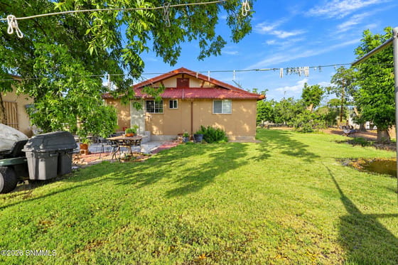 1560 Hwy 292, Mesilla, NM 88046 photo 5