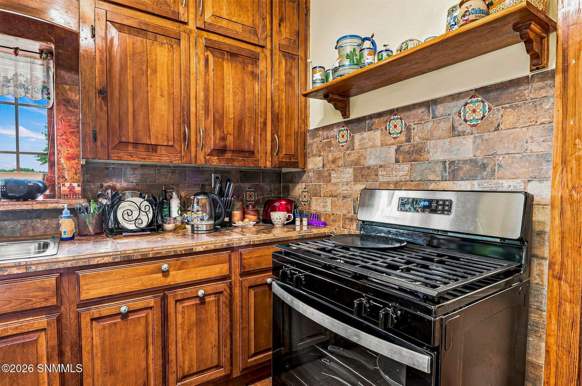 1560 Calle De El Paso, Las Cruces, NM 88005 photo 10