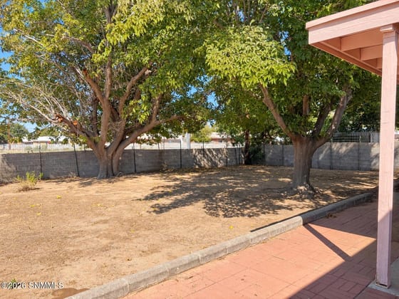 2050 Enzie Drive, Las Cruces, NM 88001 photo 5