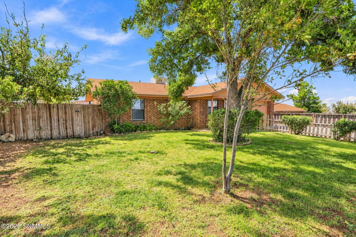 15820 Furnace Street, Organ, NM 88052 photo 2