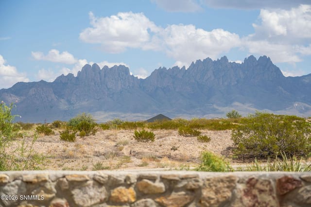 4238 Ceres Court, Las Cruces, NM – 3 bedroom, 1,915 sqft single family residence for sale at $510,000
