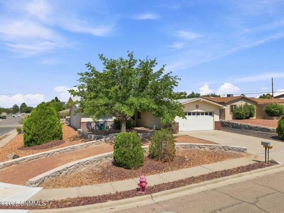 1803 Seldon Avenue, Las Cruces, NM 88001 photo 5