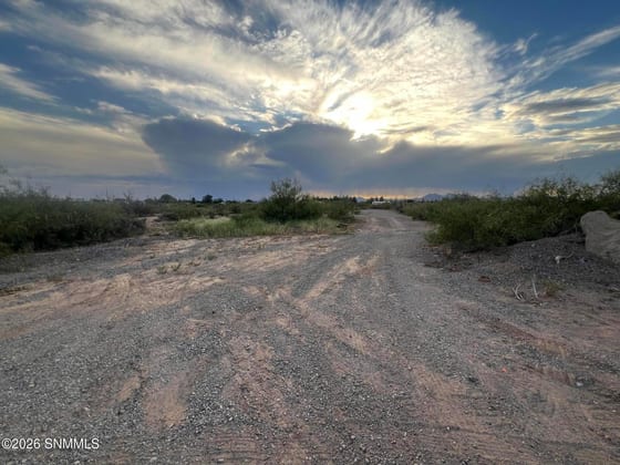 9200 Higgins Lane, Las Cruces, NM 88011 photo 4