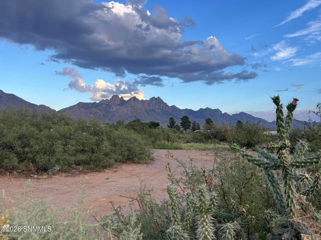 9200 Higgins Lane, Las Cruces, NM vacant land/acreage for sale at $140,000
