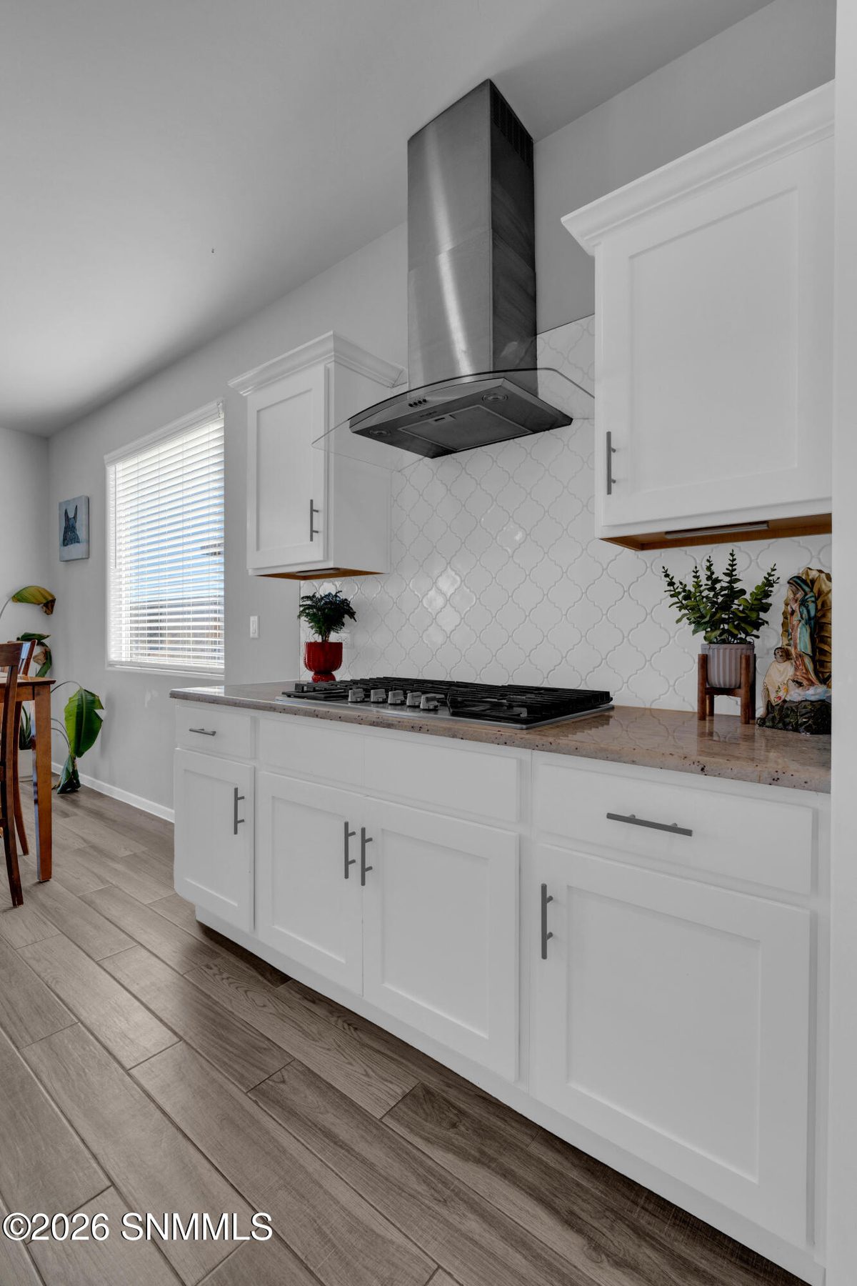 119 Monteine Trail, Santa Teresa, NM 88008 photo 6