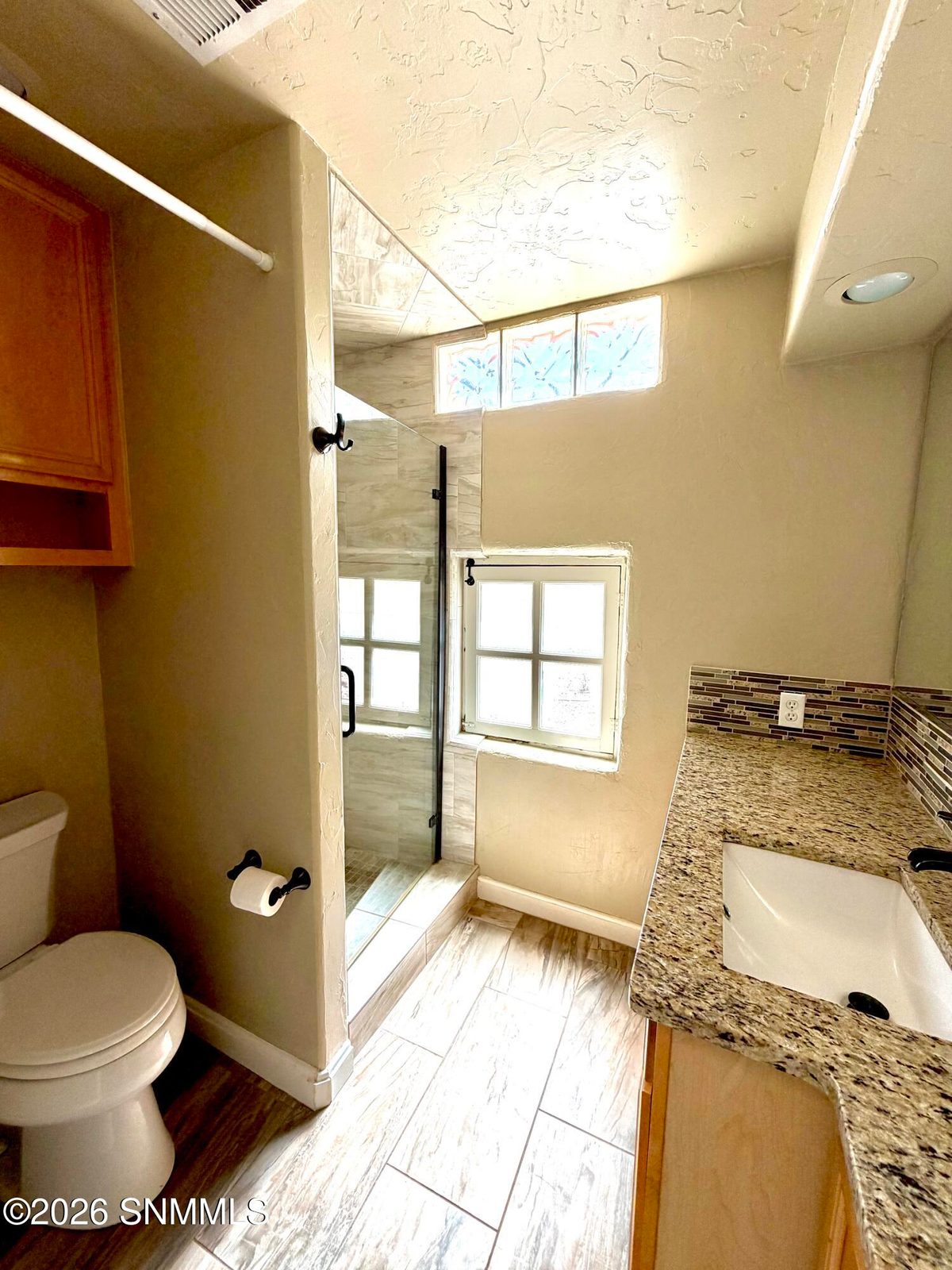 955 S Melendres Street, Las Cruces, NM 88005 photo 8