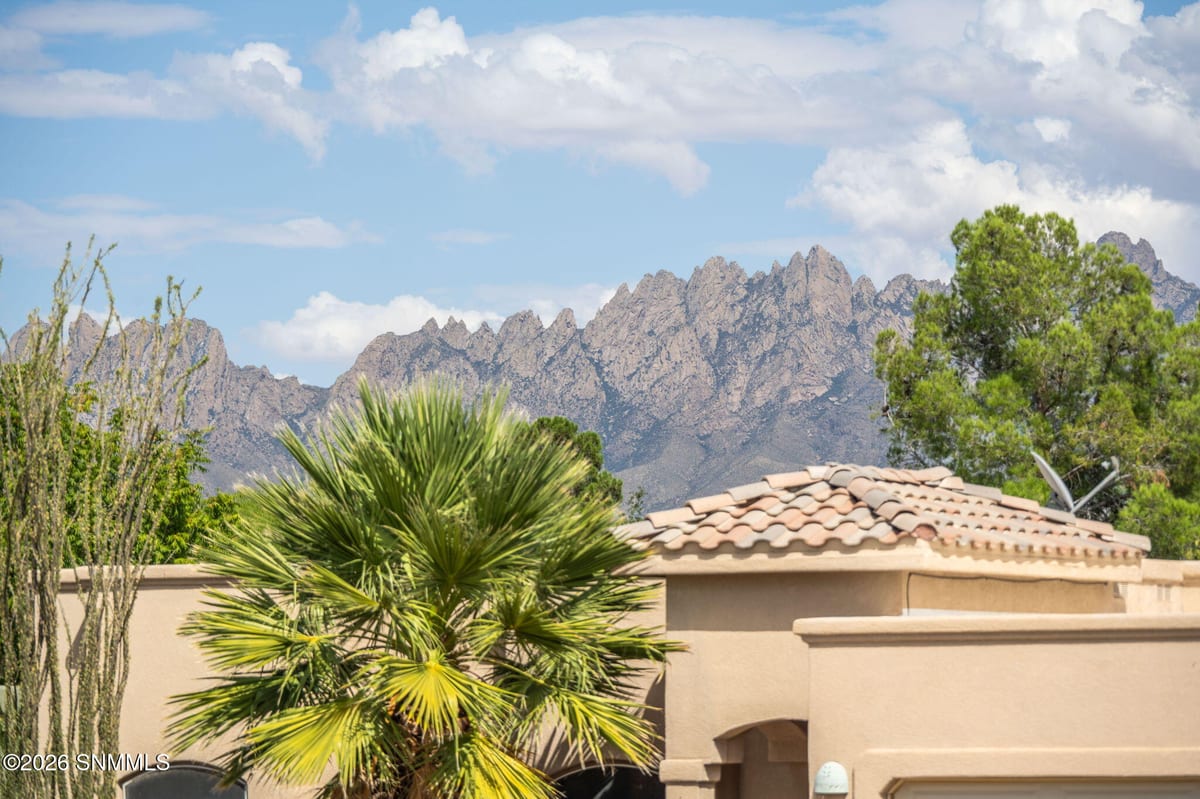 4450 Los Arboles Drive, Las Cruces, NM 88011 photo 6
