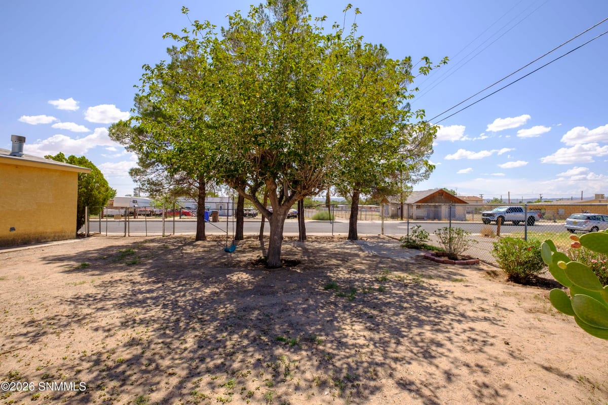 1418 N Tornillo Street, Las Cruces, NM 88001 photo 6