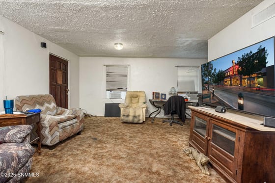 419 E Miranda Avenue, Las Cruces, NM 88001 photo 5