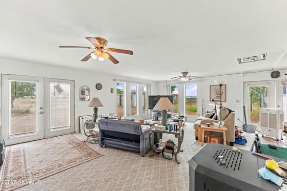 3015 Good Sight Road, Deming, NM 88030 photo 5
