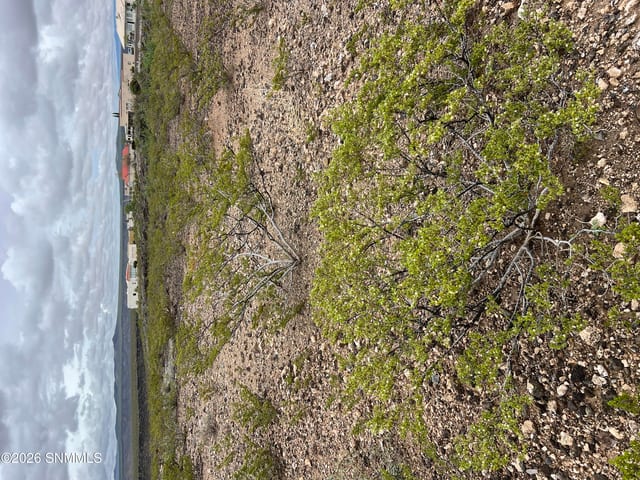 00 E Mcrea Road, Elephant Butte, NM 87935 photo 2