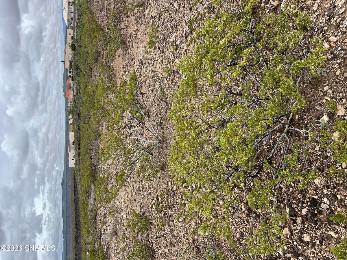 00 E Mcrea Road, Elephant Butte, NM 87935 photo 2