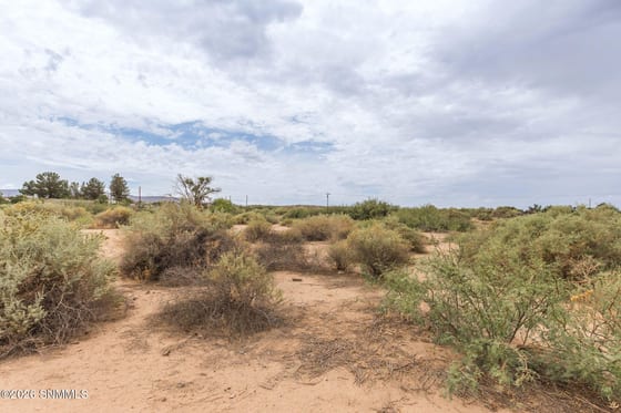 Hatch, NM 87937 photo 3