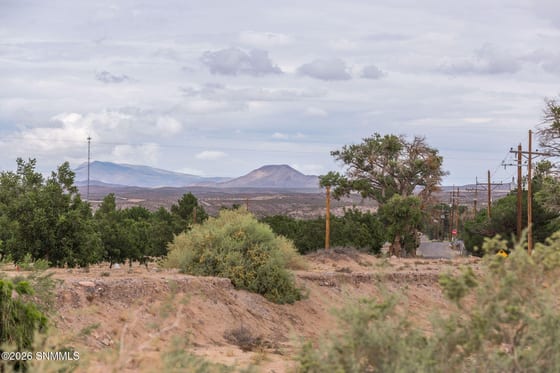 Hatch, NM 87937 photo 5