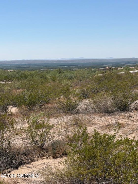6025 Avenida Sonrisa, Las Cruces, NM 88011 photo 2