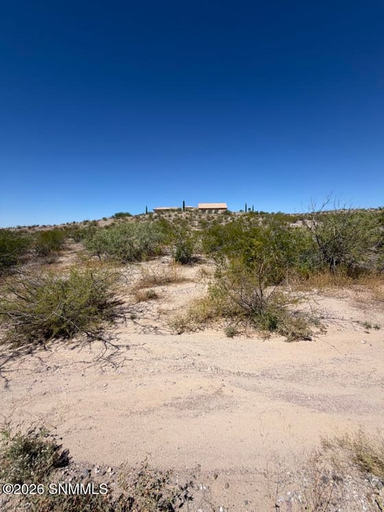 6025 Avenida Sonrisa, Las Cruces, NM 88011 photo 4
