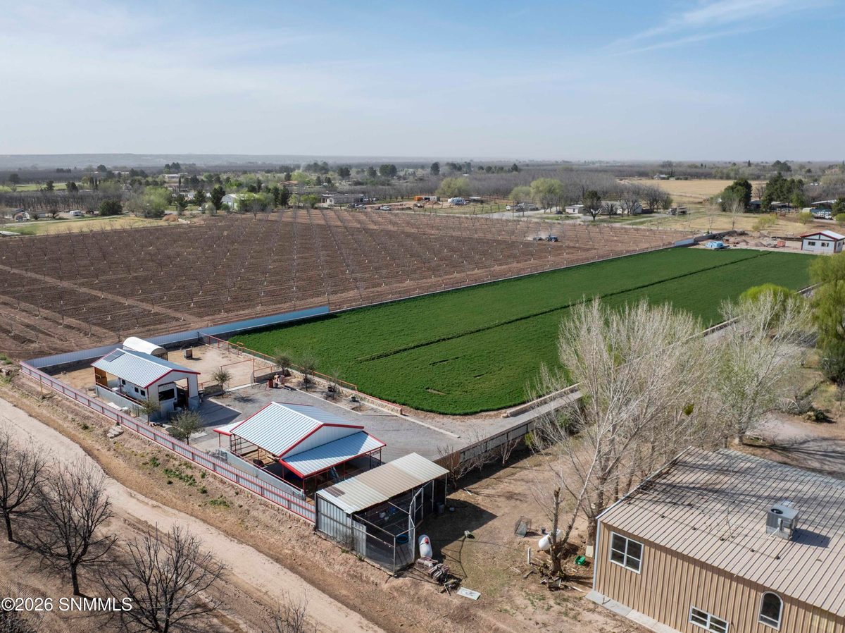 1405 Webb Road, Anthony, NM 88021 photo 7