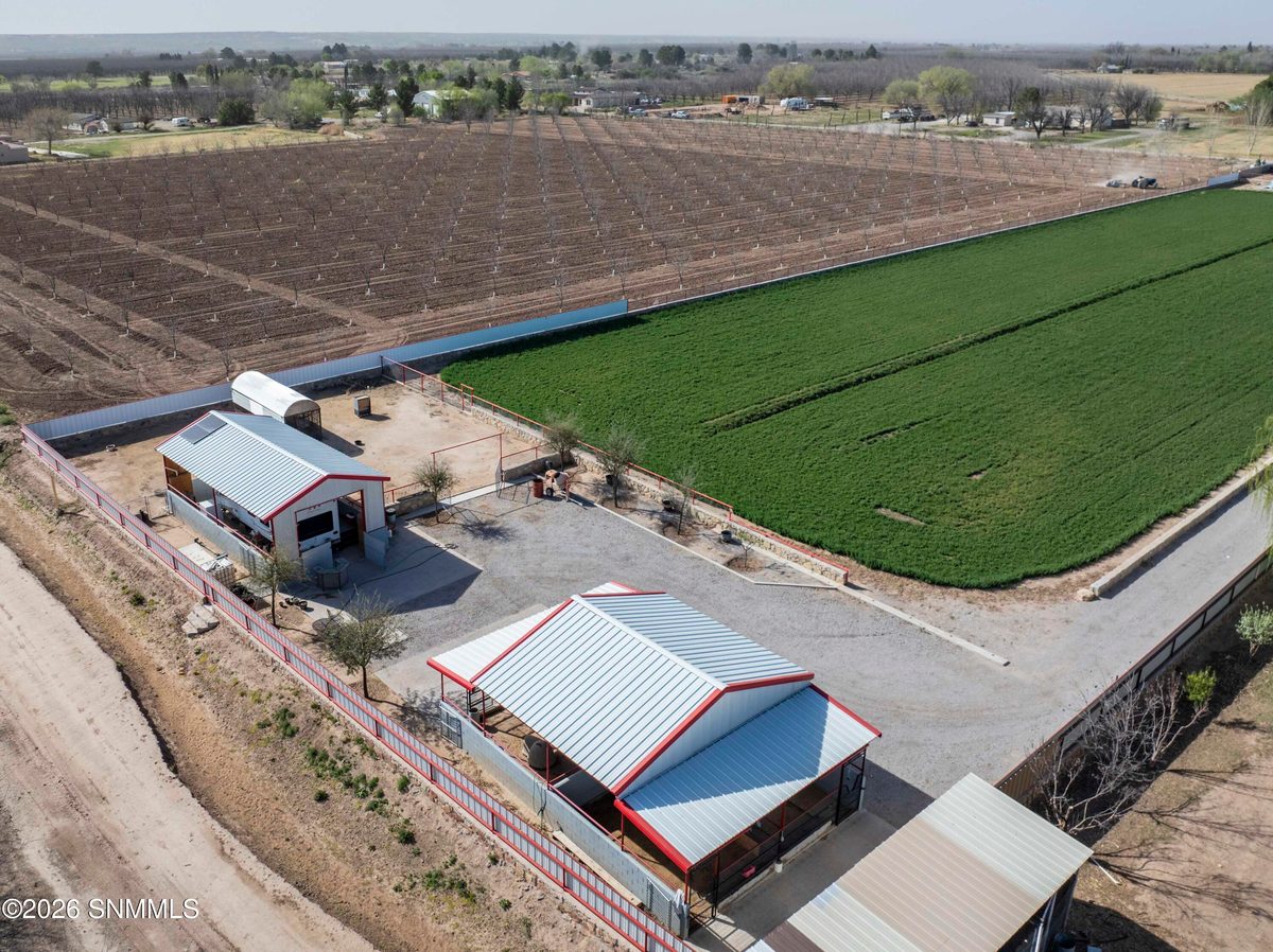 1405 Webb Road, Anthony, NM 88021 photo 8