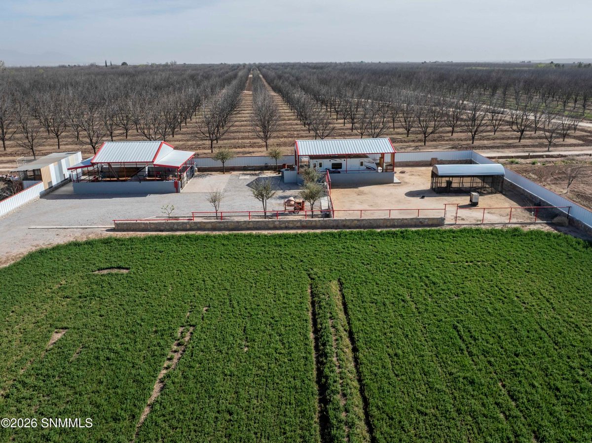 1405 Webb Road, Anthony, NM 88021 photo 9