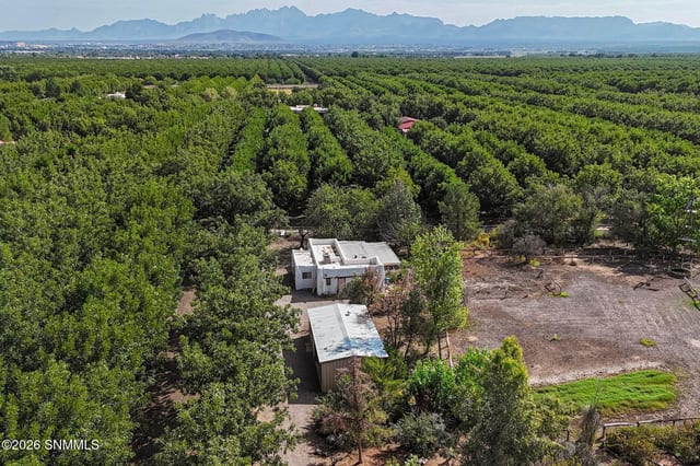 4601 #2 Snow Road, Las Cruces, NM 88005 photo 4