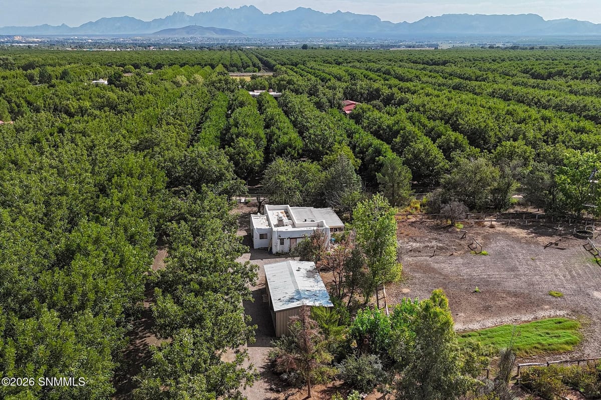 4601 #2 Snow Road, Las Cruces, NM 88005 photo 4