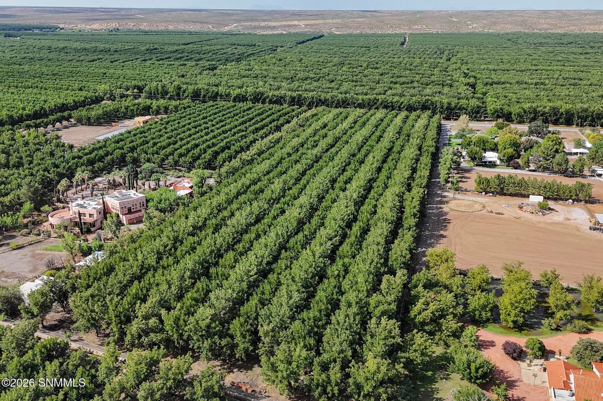 4601 #2 Snow Road, Las Cruces, NM 88005 photo 6