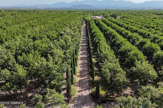 4601 #2 Snow Road, Las Cruces, NM farm for sale at $695,000
