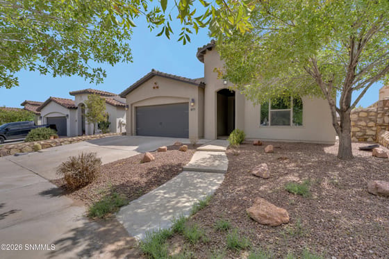 871 Maple Park Avenue, Santa Teresa, NM 88008 photo 4