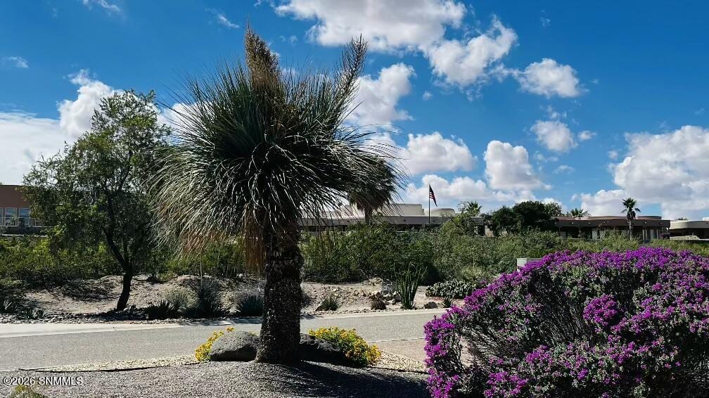 10060 San Marcos Court, Las Cruces, NM 88007 photo 6