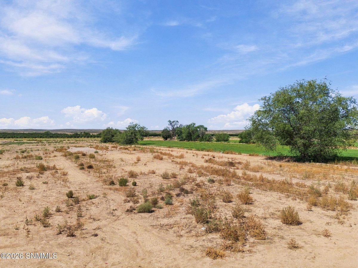 18813 HWY 28, La Mesa, NM 88044 photo 14