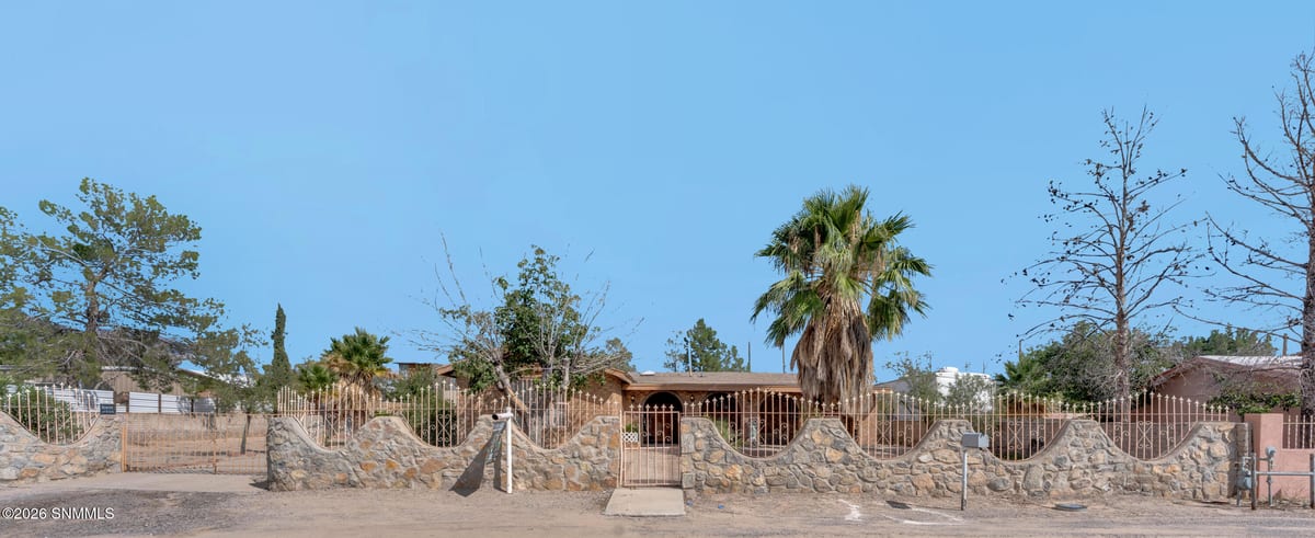 970 San Andres Drive, Anthony, NM 88021 photo 2