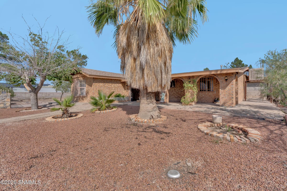 970 San Andres Drive, Anthony, NM 88021 photo 4