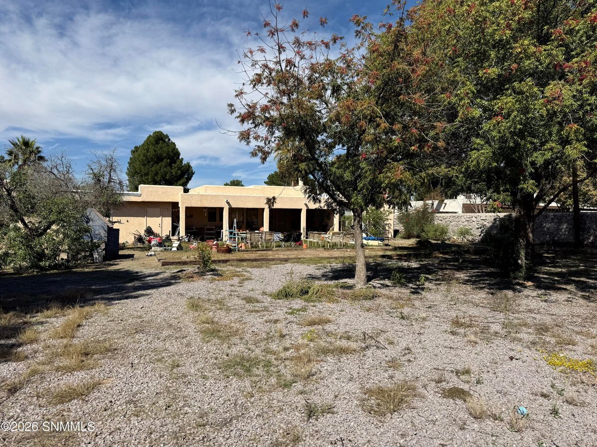 348 O'Hair Drive, Las Cruces, NM 88001 photo 4
