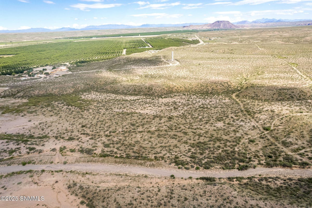 TBD Tahnee Mara Street, Rincon, NM 87940 photo 13