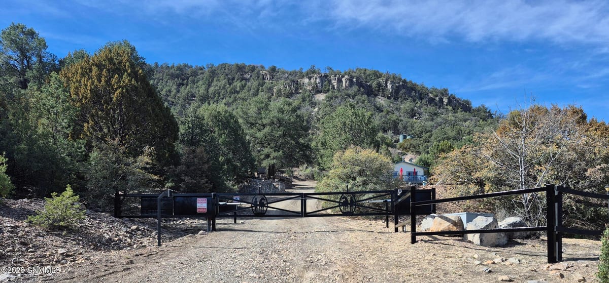 104 Georgetown Road, Mimbres, NM 88049 photo 3