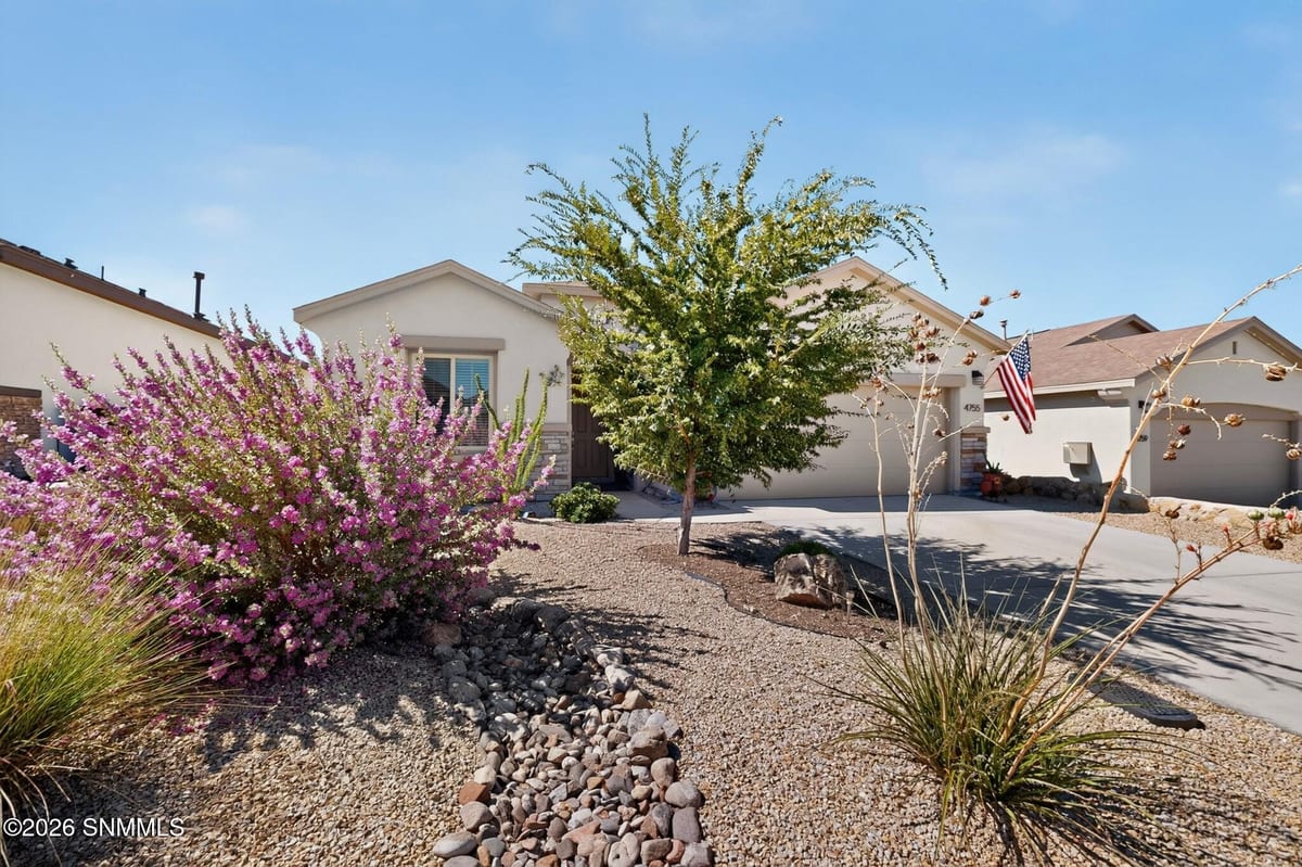 4755 Big Springs Street, Las Cruces, NM 88012 photo 5