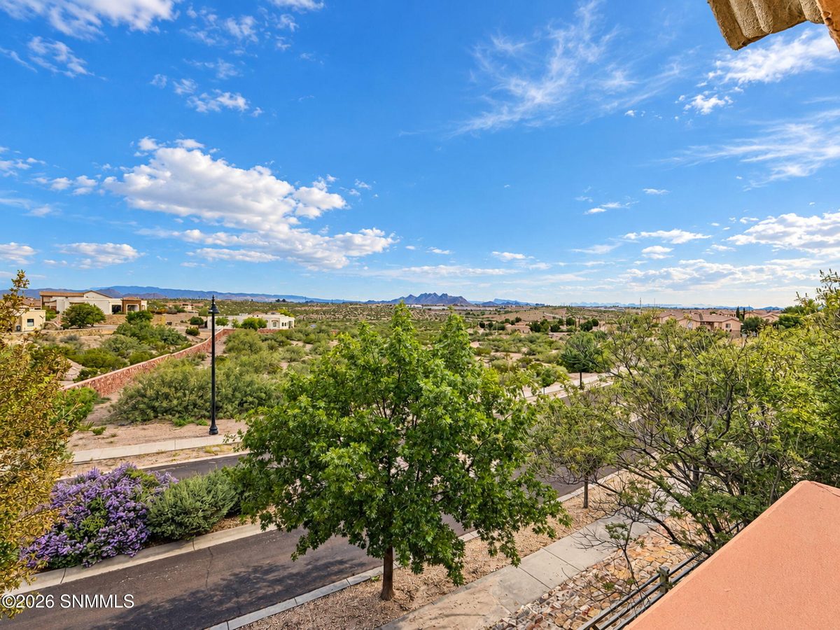 3650 Morning Star Drive #4006, Las Cruces, NM 88011, foto 14