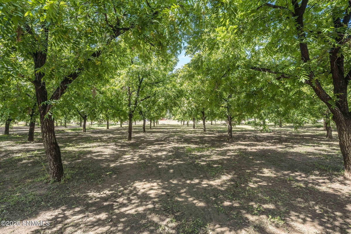 4843 Grider Road, Las Cruces, NM 88007, foto 6