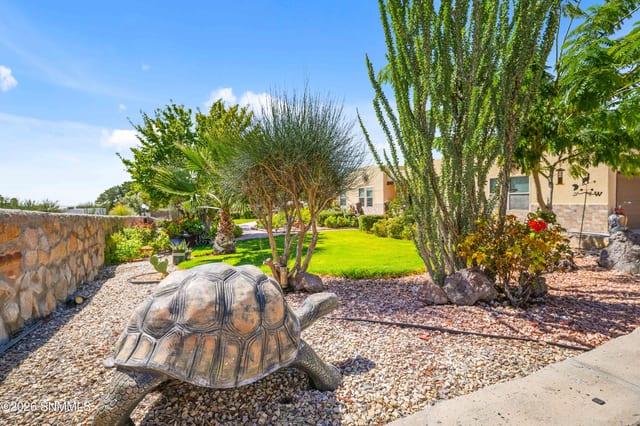 4207 E Winchester Road, Las Cruces, NM 88011 photo 3