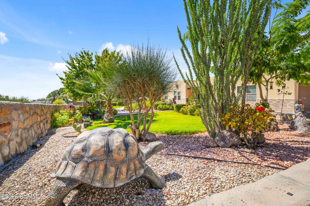 4207 E Winchester Road, Las Cruces, NM 88011 photo 3