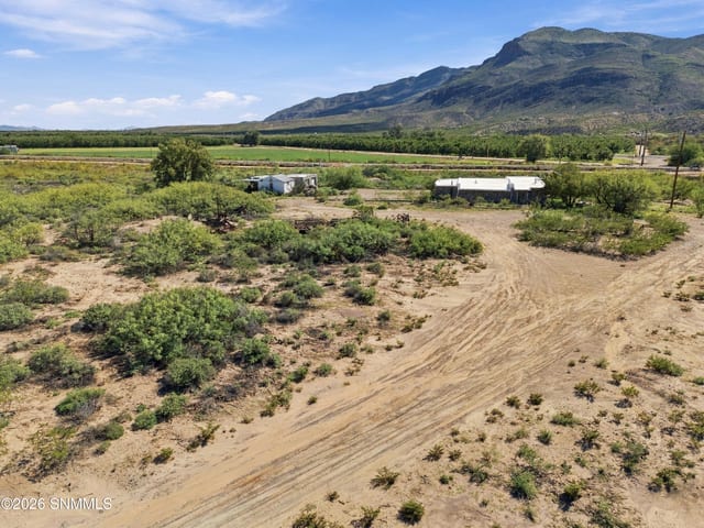 1251 Fort Selden Road, Las Cruces, NM 88007 photo 3
