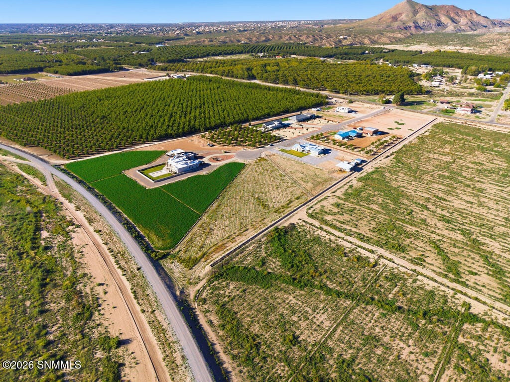 3600 Valle Verde Court, Las Cruces, NM 88007, foto 4